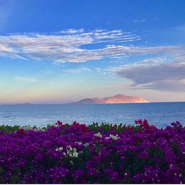Villa & Chalet At Four Seasons Resort Sharm El Sheikh - Sea View Private Residence Екстер'єр фото