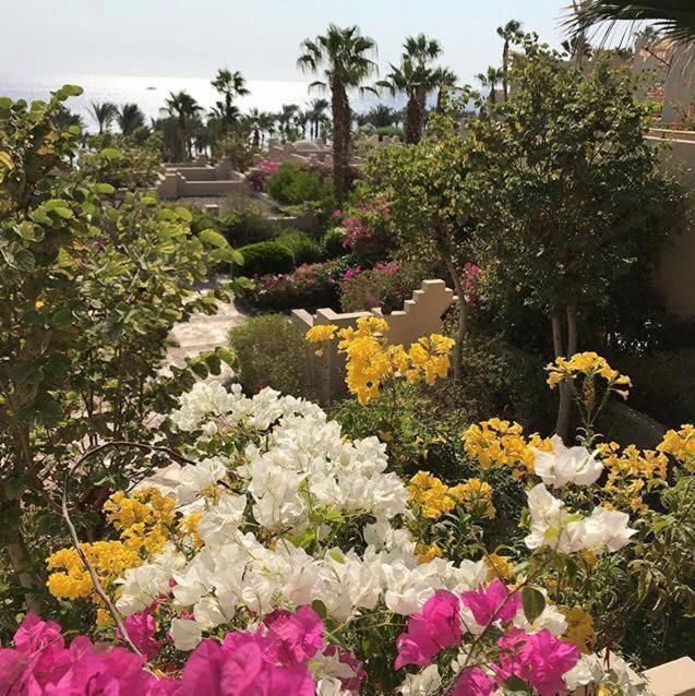 Villa & Chalet At Four Seasons Resort Sharm El Sheikh - Sea View Private Residence Екстер'єр фото